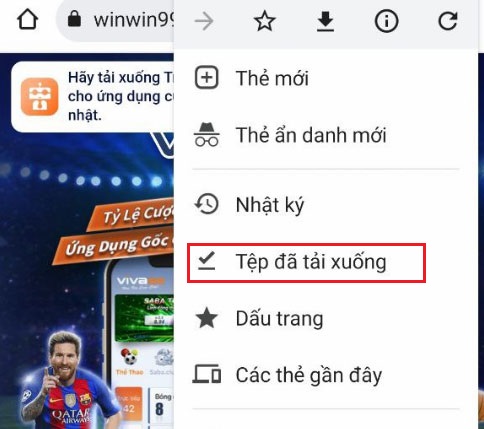 Tệp app viva88 đã tải xuống